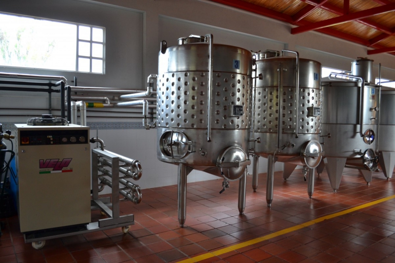 cave-GUILLAUMES-min_wine_production_cantine_winery_drink_alcohol_vine_beverage-902036